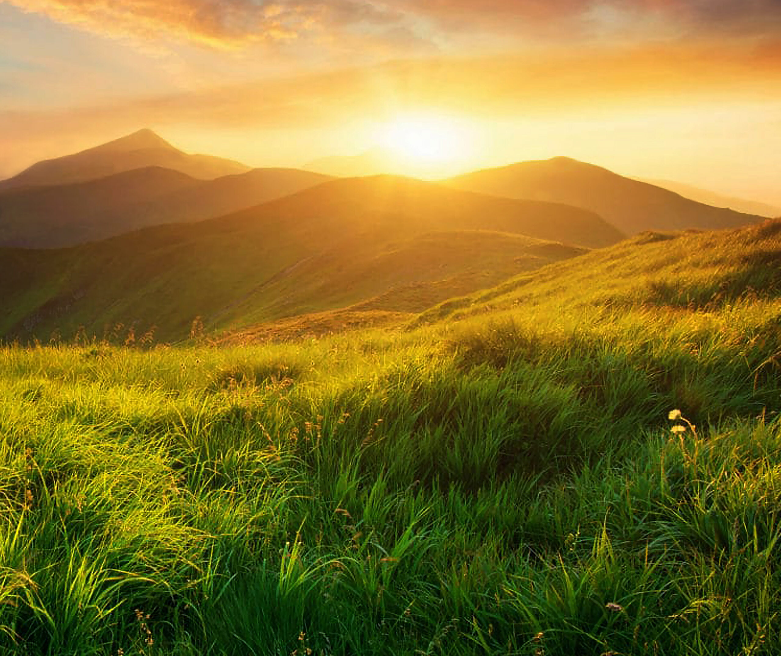 CATALOG_Sunrise Wallpaper-29