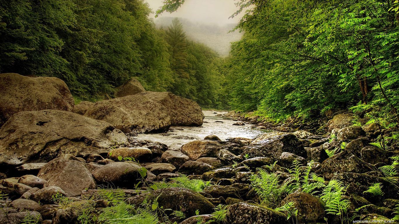 CATALOG_wallpaper-30