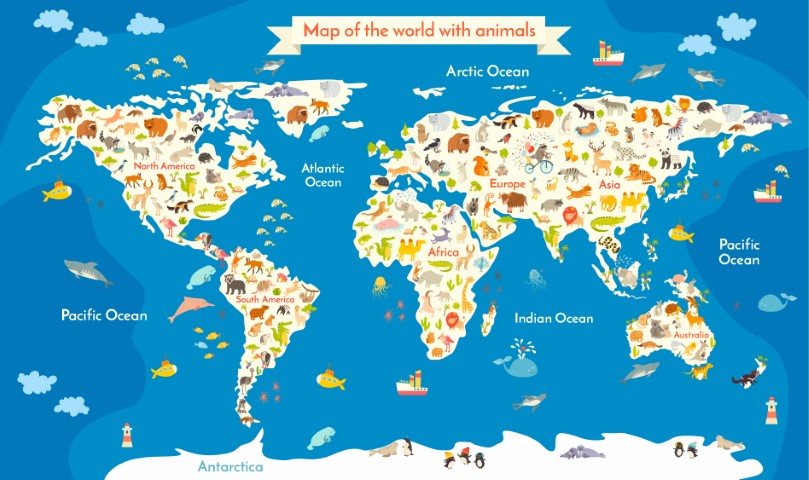 Wall_graphics_catalog_22