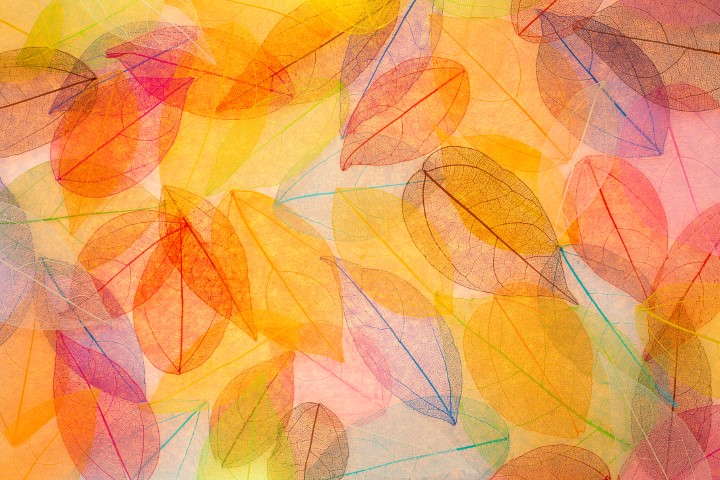 Wall_graphics_catalog_27