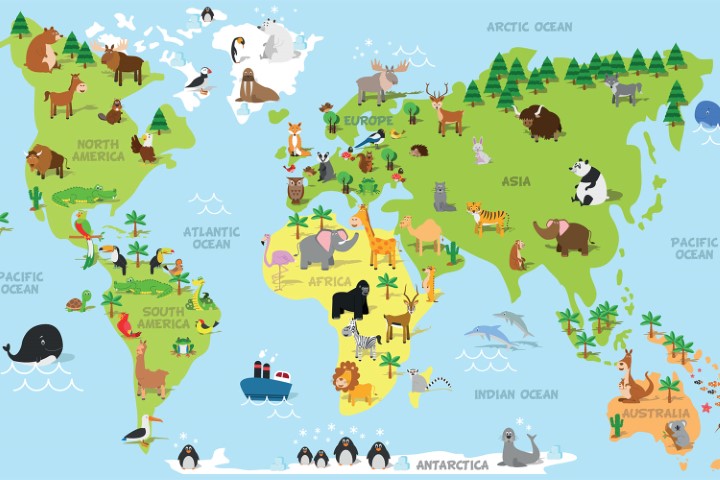 Wall_graphics_catalog_36