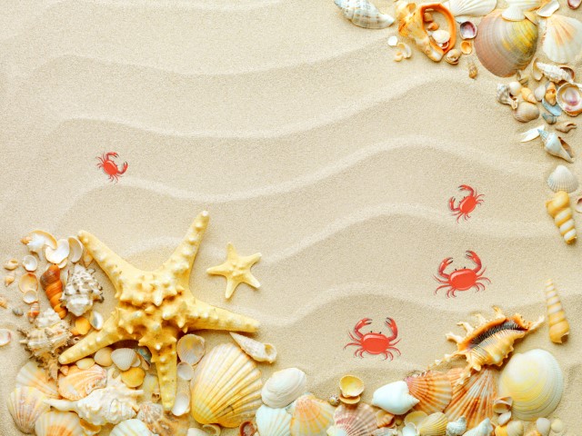 catalog_PWG-AQUARIUM-0088 (Small)