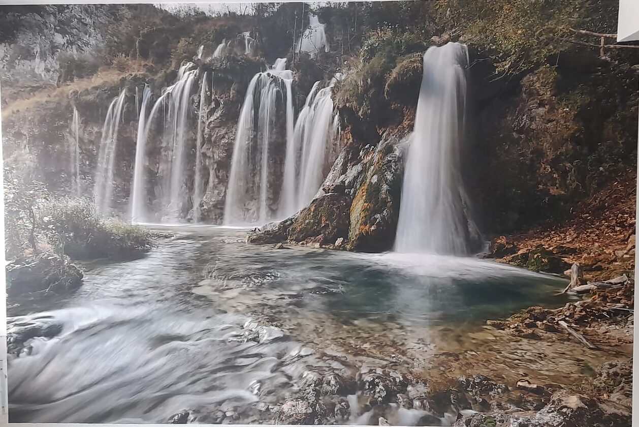wallgraphics_6